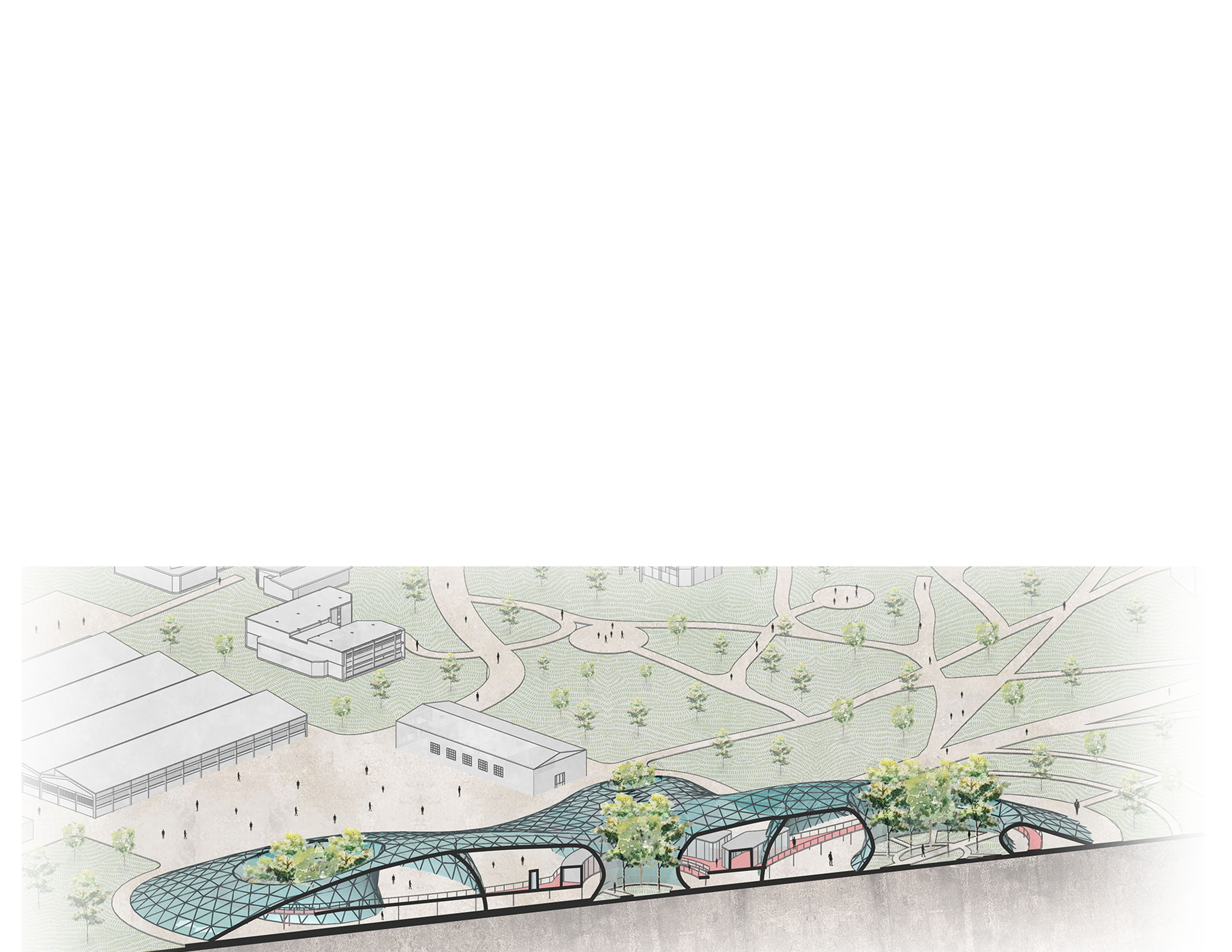 Section perspective